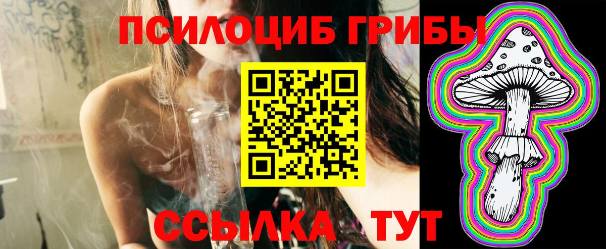 Псилоцибиновые грибы мухоморы Карачаевск